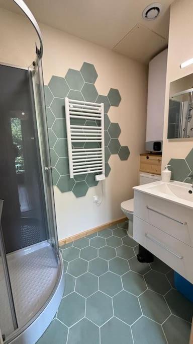 T2 Cocon Avec Balcon Et Parking Apartment La Roche-sur-Foron Exterior photo